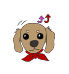 ワンちゃんタチ（個別スタンプ：1）