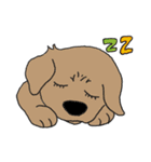 ワンちゃんタチ（個別スタンプ：22）