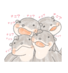 コツメカワウソのクレヨン風スタンプ（個別スタンプ：13）