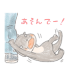 コツメカワウソのクレヨン風スタンプ（個別スタンプ：16）