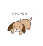 ゆるっとビーグルの日常 その2（個別スタンプ：39）