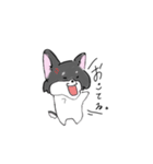 懐かないチロルという犬（個別スタンプ：8）