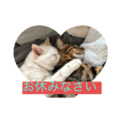 Rei＆Gen（個別スタンプ：3）