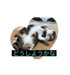 Rei＆Gen（個別スタンプ：4）