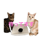 Rei＆Gen（個別スタンプ：10）