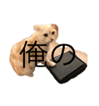 Rei＆Gen（個別スタンプ：15）