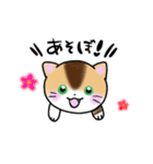 ねこのがっちゃん（個別スタンプ：3）