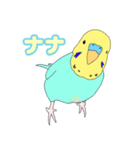 仲良しインコ大集合（個別スタンプ：3）
