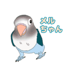 仲良しインコ大集合（個別スタンプ：5）