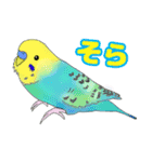 仲良しインコ大集合（個別スタンプ：6）
