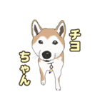 仲良しインコ大集合（個別スタンプ：8）