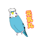 仲良しインコ大集合（個別スタンプ：9）