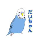 仲良しインコ大集合（個別スタンプ：11）