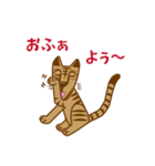 ドン・フランシスコ ”はる”（個別スタンプ：1）