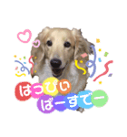 まいにち はっぴぃ♡3（個別スタンプ：4）