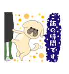 ミカミさんちのポンタくん。（個別スタンプ：5）