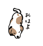 おひるねわんこのねごとスタンプ（個別スタンプ：3）
