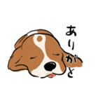 おひるねわんこのねごとスタンプ（個別スタンプ：4）