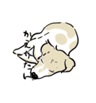 おひるねわんこのねごとスタンプ（個別スタンプ：11）