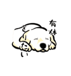 おひるねわんこのねごとスタンプ（個別スタンプ：14）