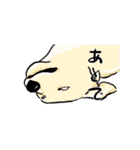 おひるねわんこのねごとスタンプ（個別スタンプ：16）