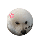 モフモフのモチ（個別スタンプ：2）