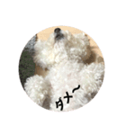 モフモフのモチ（個別スタンプ：3）