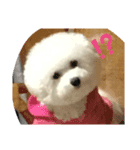 モフモフのモチ（個別スタンプ：6）