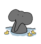 elephant san（個別スタンプ：31）