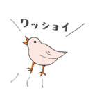 ほっこり鳥バード（個別スタンプ：14）