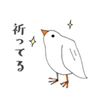 ほっこり鳥バード（個別スタンプ：24）