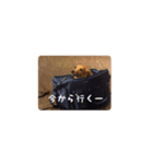 癒しのルイちゃんスタンプ（個別スタンプ：7）