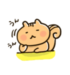りすちゃん その1。（個別スタンプ：5）