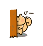 りすちゃん その1。（個別スタンプ：16）