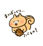 りすちゃん その1。（個別スタンプ：21）