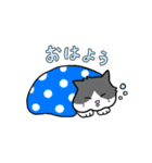 ねこ ハチワレ2（個別スタンプ：1）