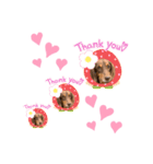 ロビたんスタンプ イラスト編（個別スタンプ：3）