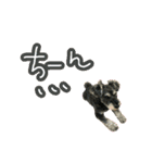 【シュナウザー】シュナウザーのケンちゃん（個別スタンプ：13）