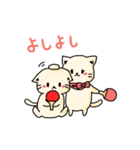 卓球ニャンコ（卓球をこよなく愛する猫）（個別スタンプ：19）