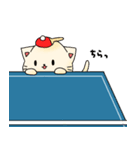 卓球ニャンコ（卓球をこよなく愛する猫）（個別スタンプ：40）