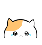 可愛い猫のスタンプ〜英語ver〜（個別スタンプ：24）