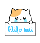 可愛い猫のスタンプ〜英語ver〜（個別スタンプ：28）
