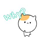 可愛い猫のスタンプ〜英語ver〜（個別スタンプ：31）