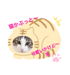 サスケくんの九州弁（個別スタンプ：10）