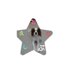 キャバリア犬02（個別スタンプ：28）