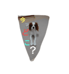 キャバリア犬02（個別スタンプ：37）