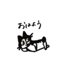 三毛猫②（個別スタンプ：4）