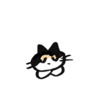 三毛猫②（個別スタンプ：5）