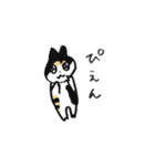 三毛猫②（個別スタンプ：13）