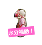 花～FLOWERNo.2（個別スタンプ：14）